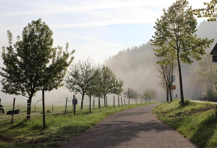 标准间带阳台, Naturpurhotel Maarblick