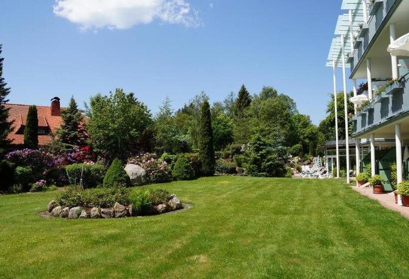 חדר סטנדרט, Parkhotel Flora Am Schluchsee