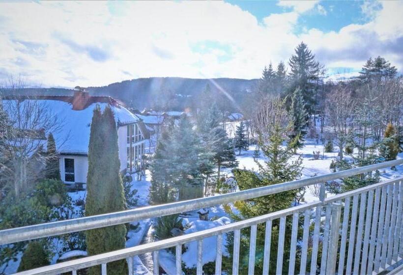Люкс Комфорт, Parkhotel Flora Am Schluchsee
