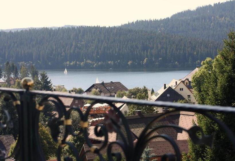 סוויטת ג'וניור, Parkhotel Flora Am Schluchsee