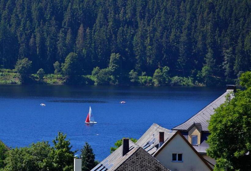 סוויטת סופריור, Parkhotel Flora Am Schluchsee