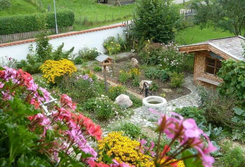 اتاق خانوادگی, Suzanne's B&b & Gardens