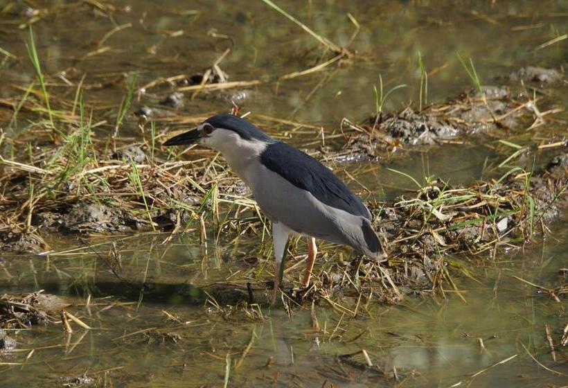 خانه 2 خوابه, Park 61