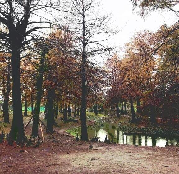 خانه 2 خوابه, Park 61