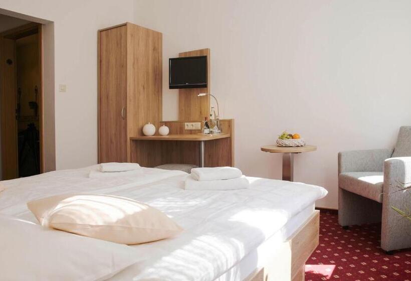 غرفة قياسية, Ferien Und Wellnesshotel Waldfrieden