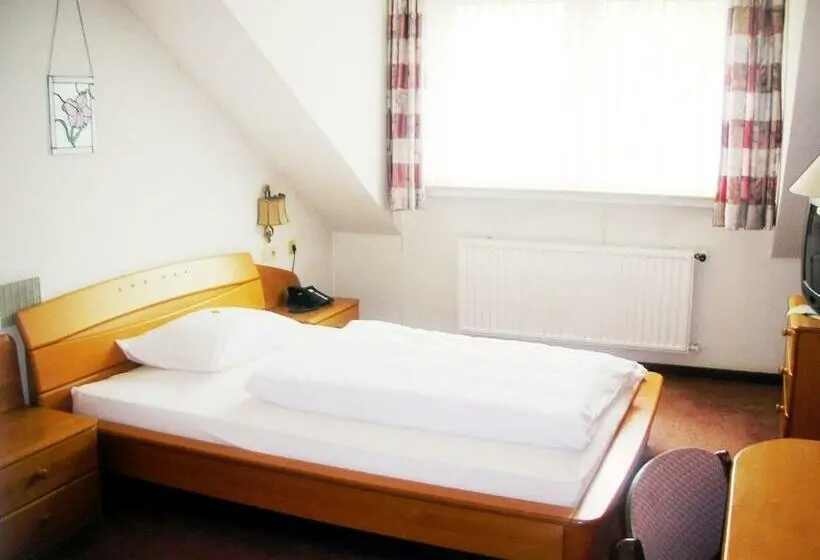 اتاق استاندارد یک نفره, Heidehotel Hildfeld