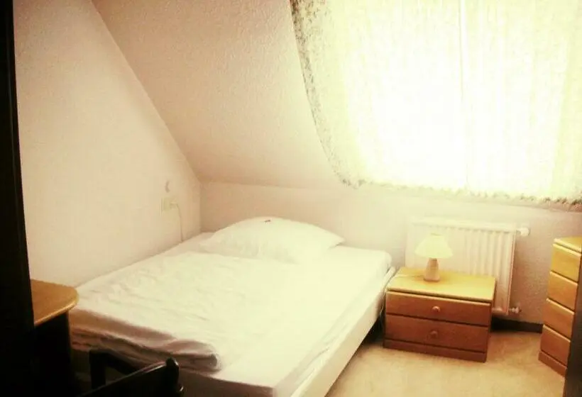 اتاق استاندارد یک نفره, Heidehotel Hildfeld
