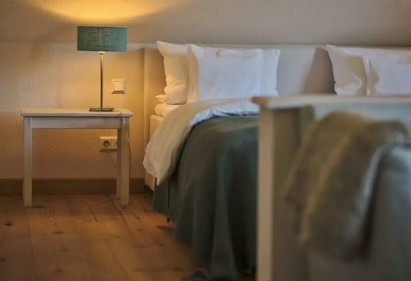 スタンダードルーム, Boutique Hotel Mühle Schluchsee