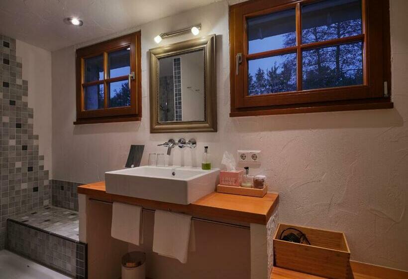 غرفة قياسية, Boutique Hotel Mühle Schluchsee