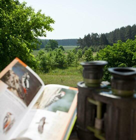 Номер Стандарт, Nationalparkhotel Kranichrast
