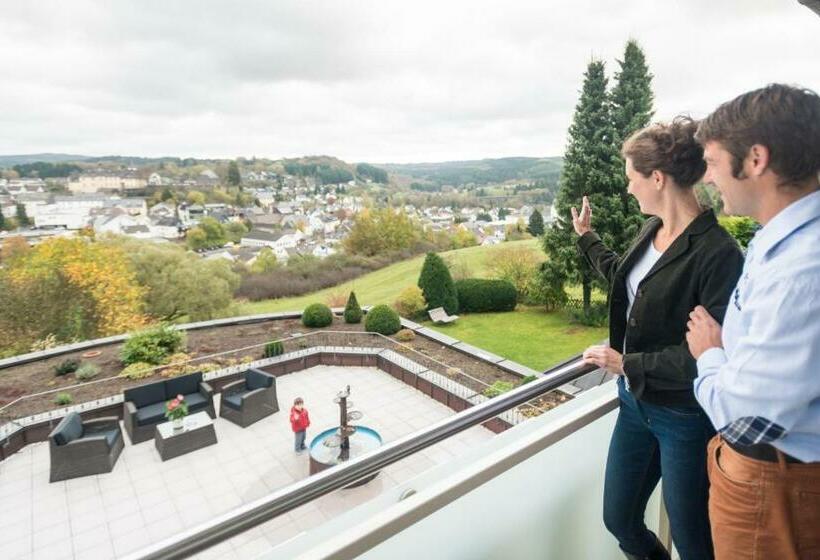 غرفة قياسية مزوَّدة بشُرفة, Panorama