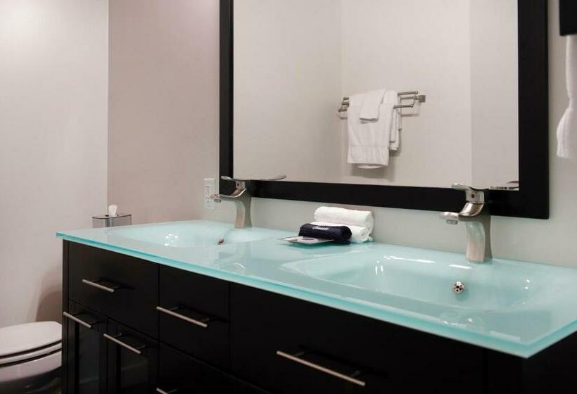 اتاق سوپریور با تخت بزرگ, The Mayton