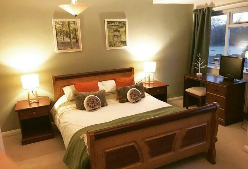 غرفة ديلوكس سرير كينج, Beldon House