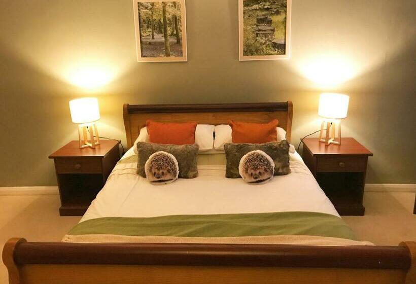 غرفة ديلوكس سرير كينج, Beldon House