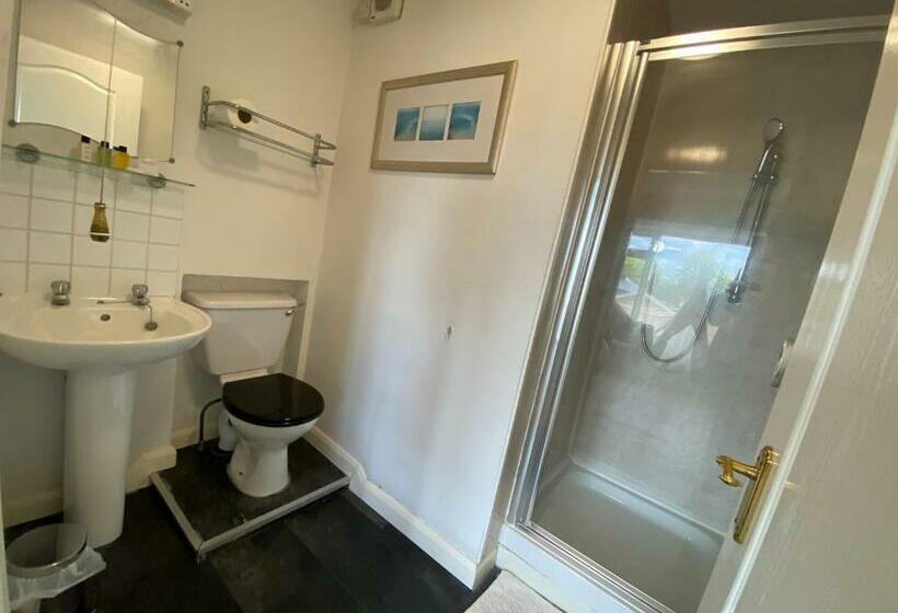 غرفة ديلوكس سرير كينج, Beldon House