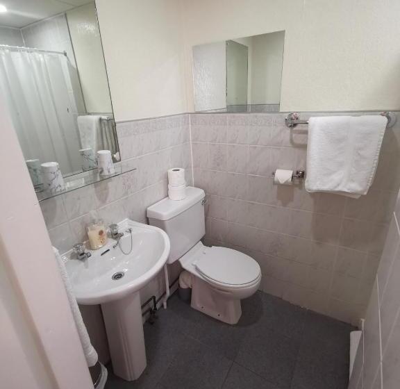 اتاق استاندارد سه نفره, The Stafford