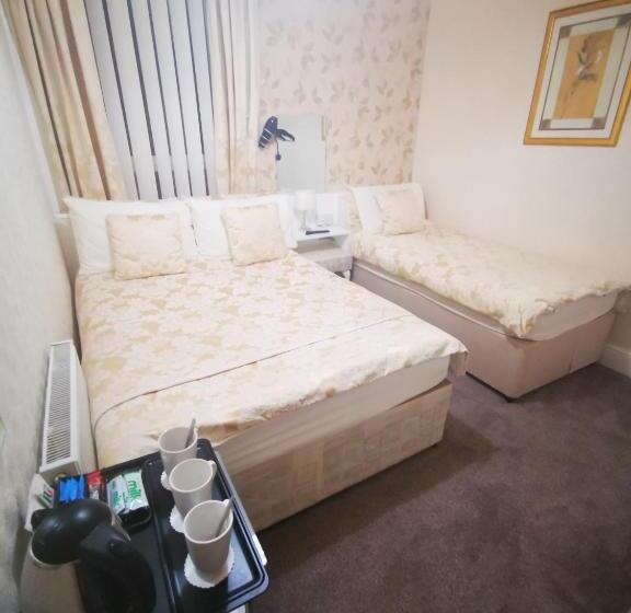 اتاق استاندارد سه نفره, The Stafford