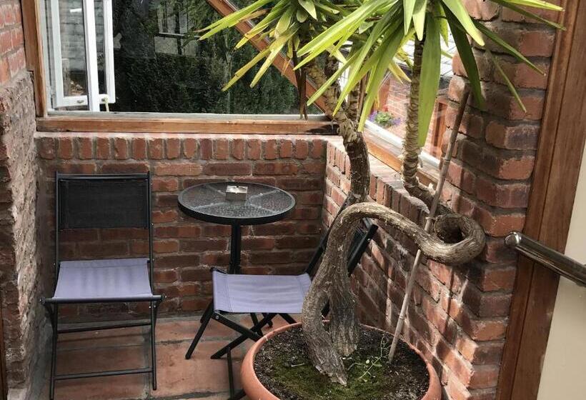 デラックスルーム, Sebastians