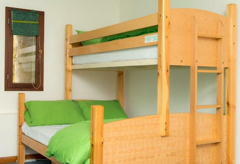 浴室共有スタンダード４人用ルーム, Yha Brecon Beacons