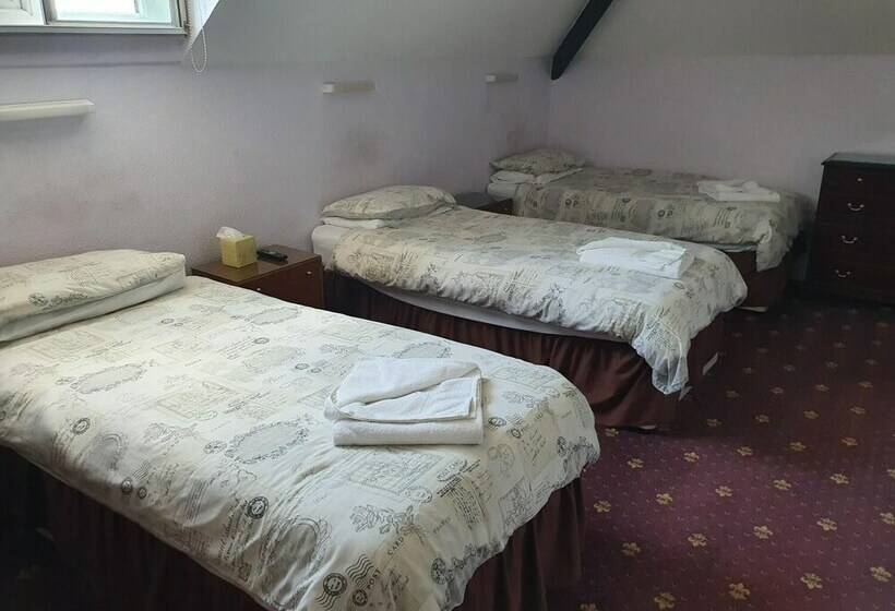 스탠다드 트리플 룸, Dove Court Travel Lodge 7   Top Floor Double Bedroom