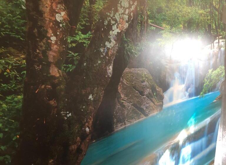 اتاق استاندارد, Jasmine House