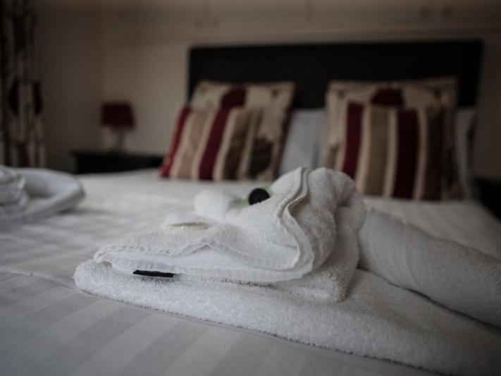 Номер Стандарт, Bridge Hotel Brandon