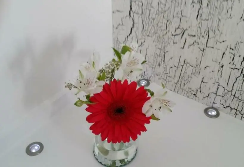 Deluxe-huone King-vuode, Coast B&b