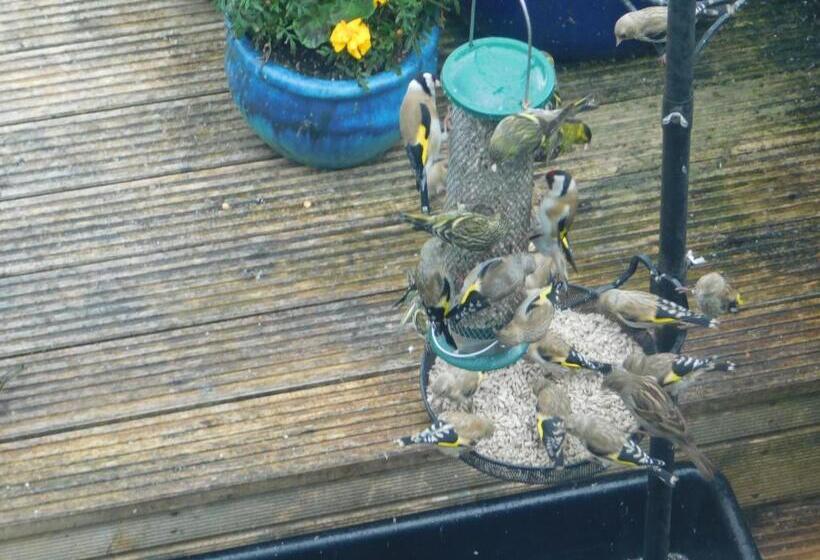 Chambre Standard Vue Jardin, Creag Dubh Bed & Breakfast