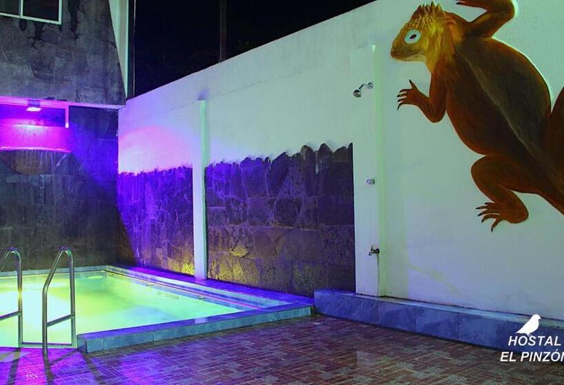 اتاق اکونومی, Hostal El Pinzón
