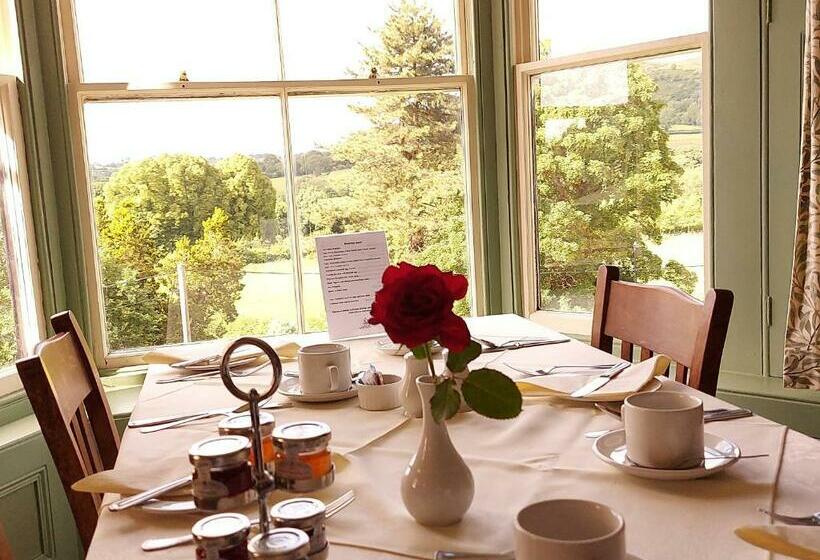 标准单人间, Bron Y Graig