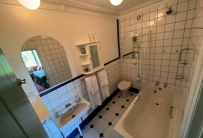 标准间, Bron Y Graig