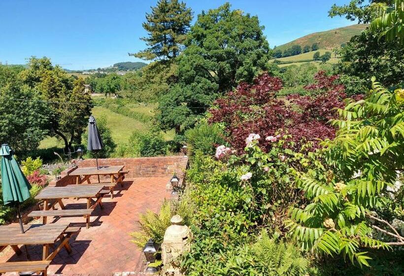 标准单人间, Bron Y Graig