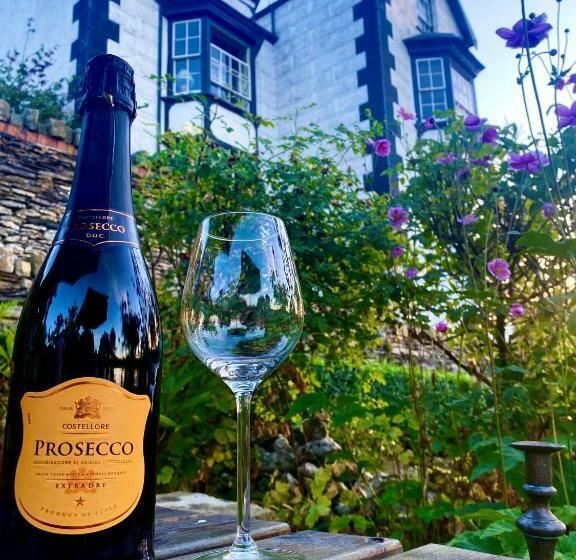 家庭间, Bron Y Graig