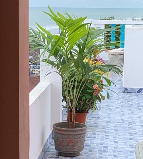 Standardrum, La Barca