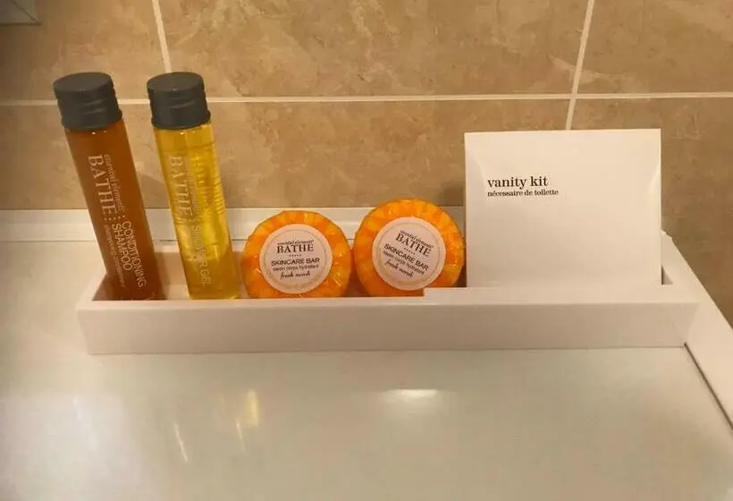 スタンダードルーム, Mansfield Lodge Hotel Ltd