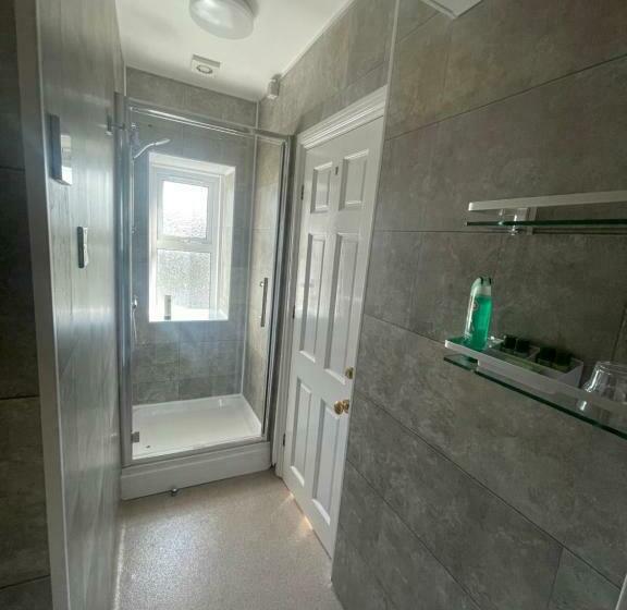 اتاق استاندارد یک نفره, Mansfield Lodge Hotel Ltd