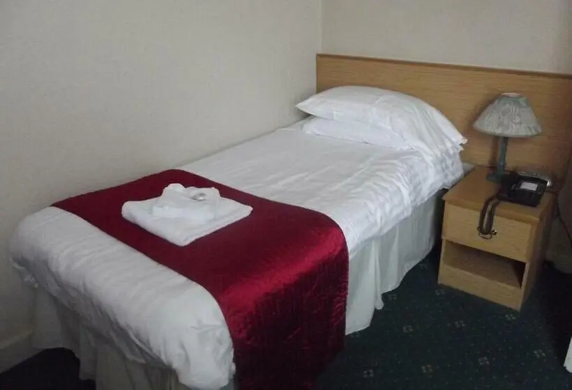 Standard Yhden Hengen Huone, Plas Coch Hotel Ltd