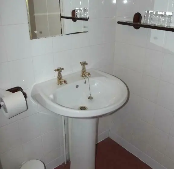 Standard-huone, Plas Coch Hotel Ltd