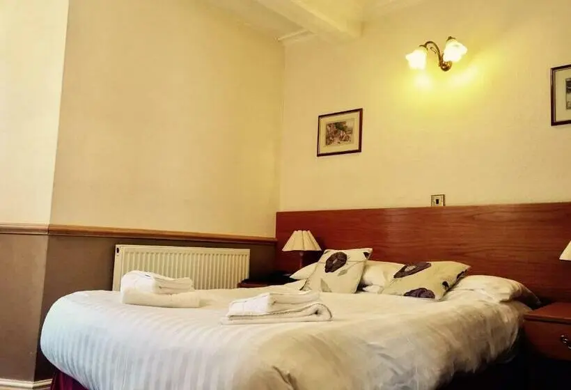Standard-huone, Plas Coch Hotel Ltd