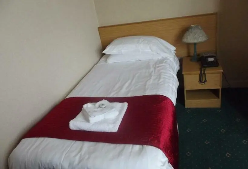 Standard Yhden Hengen Huone, Plas Coch Hotel Ltd