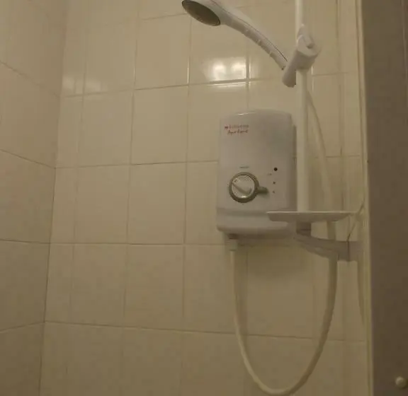 Standard Yhden Hengen Huone, Plas Coch Hotel Ltd