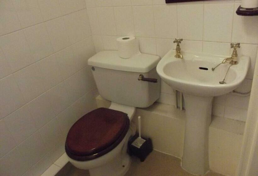 标准单人间, Plas Coch Hotel Ltd