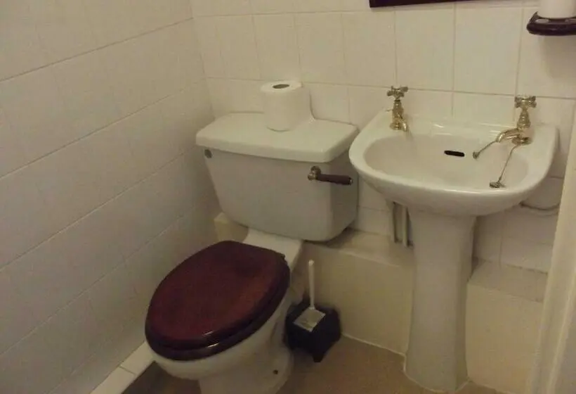 Standard Yhden Hengen Huone, Plas Coch Hotel Ltd