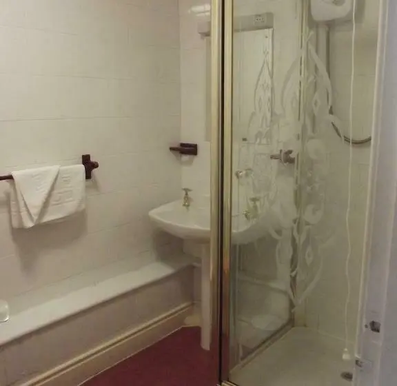Standard-huone, Plas Coch Hotel Ltd