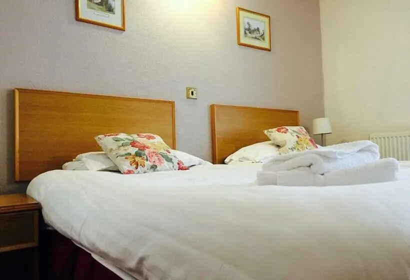 Standard-huone, Plas Coch Hotel Ltd