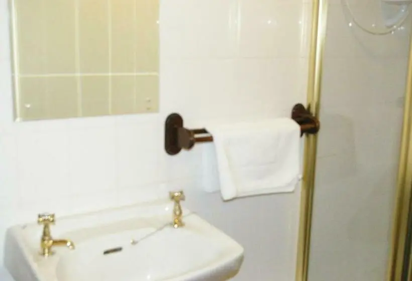 Standard Yhden Hengen Huone, Plas Coch Hotel Ltd