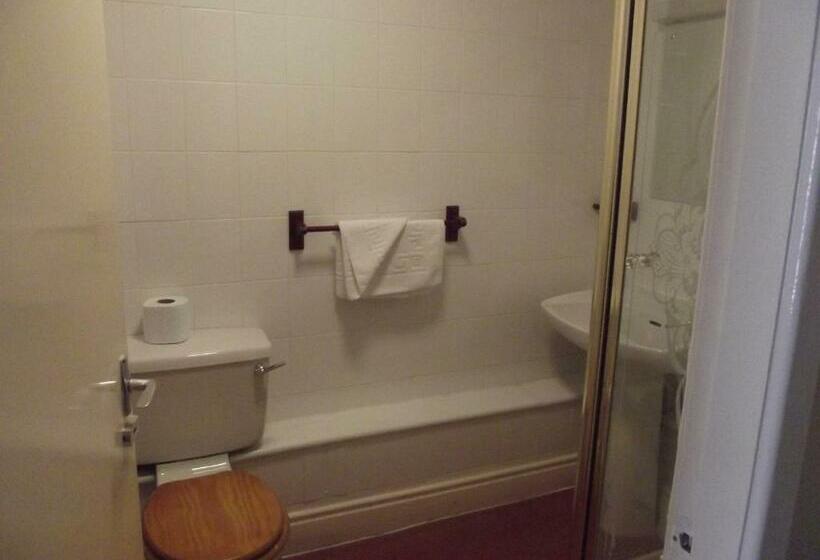 标准间, Plas Coch Hotel Ltd