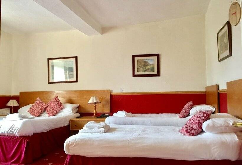 家庭间, Plas Coch Hotel Ltd