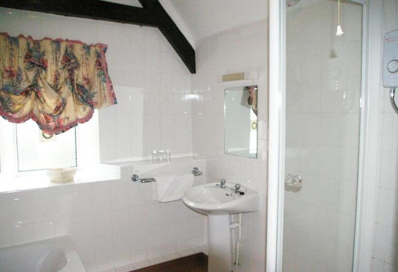 家庭间, Plas Coch Hotel Ltd