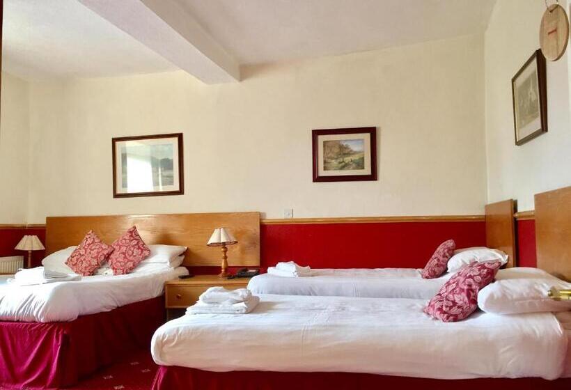 家庭间, Plas Coch Hotel Ltd